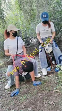 imocwiqp3wx.jpg
