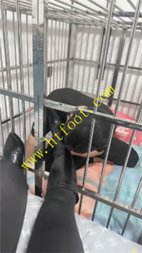 xeicc45bckr.jpg
