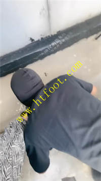g33fzekqf1i.jpg