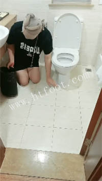 bcgnd0gqzl2.jpg