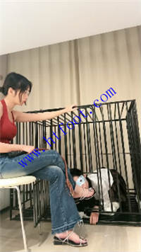 s5i5grsf44y.jpg