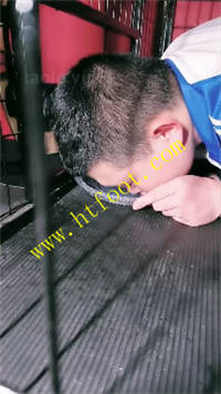 ltglg012n35.jpg