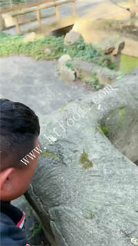 g5qgh1igwyk.jpg
