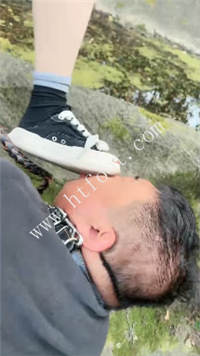 4ktpwddnscl.jpg
