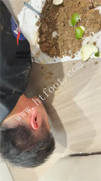 xftzxmjnsv2.jpg