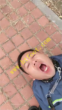 lolua1rhls4.jpg