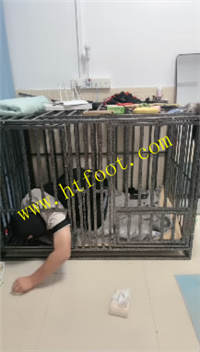 sboyancq5m3.jpg