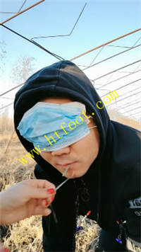 gpq24c5wimt.jpg