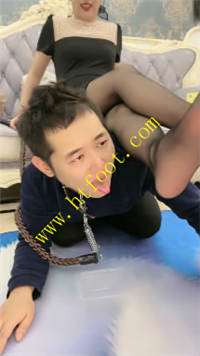 4ppt41w00xo.jpg