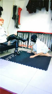 pmxm11qc4nn.jpg