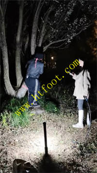 wkllwnjwf31.jpg