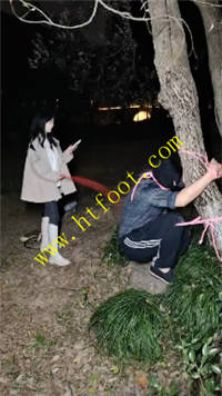 sgjtxtvz0d4.jpg