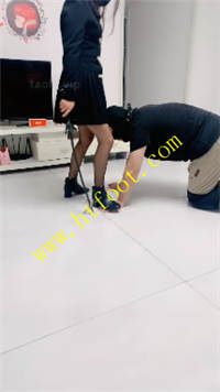 zv3tnf2pltr.jpg