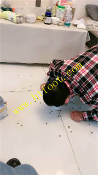 fqrxtskumrs.jpg