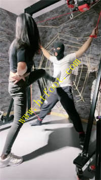 scnz4d34pr0.jpg