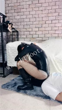 yy5010sibbc.jpg