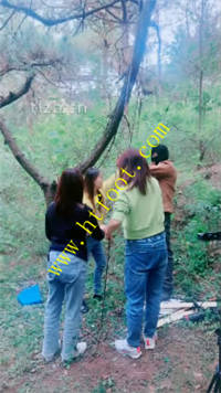 dcqtx5mdzg2.jpg