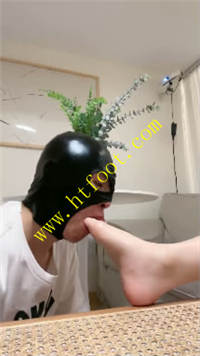 t1kcwcvhqzt.jpg