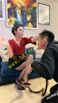 ialwzg3bx1l.jpg