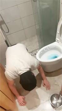 alzcmp12pfp.jpg
