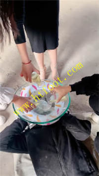 firard0vhor.jpg