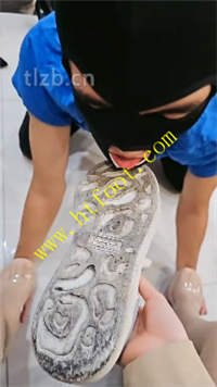 wsweawzjvt4.jpg