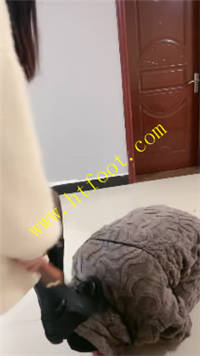 naylcwz34dc.jpg