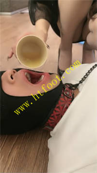 n3pgs2qlsm4.jpg