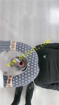 ifxjuldppjg.jpg