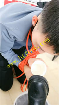 wt1nddiuon2.jpg