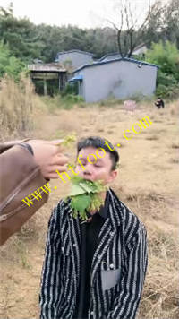nfisshupi4y.jpg