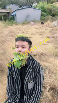 c5rs1izvnbs.jpg