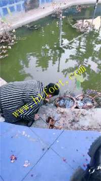 bapxi34gmzz.jpg