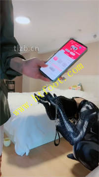 smuz2edxirz.jpg