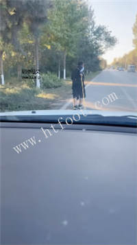 vts12lkq5d0.jpg