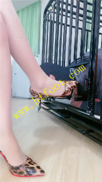 cuclhawey3y.jpg