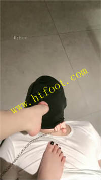 dpifth14vfz.jpg