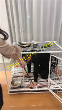 vdj5lwyvczm.jpg