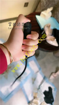 ccmv2m4tmo1.jpg