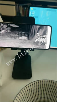 nii005pvnvh.jpg
