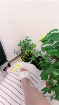 t0jzpzz013l.jpg