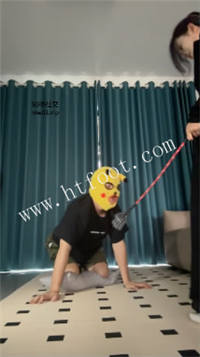 i2tstlf0x01.jpg