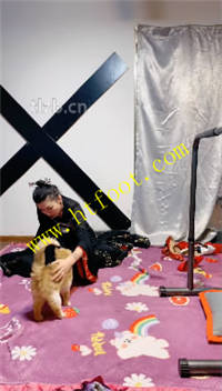 ok5pw0ty44y.jpg