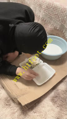 d3s3r5n4mwe.jpg
