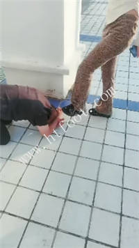 wlxll5q1icm.jpg