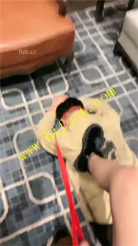 mquau0utwha.jpg