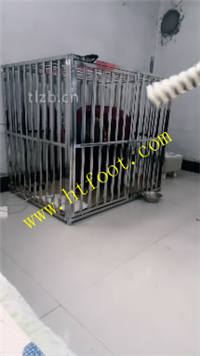 wjs5gsx0zwa.jpg