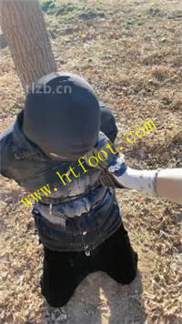 sxauz2kvbq2.jpg