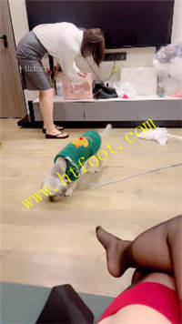 02pwylcuj20.jpg