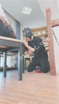 qf21lowion2.jpg